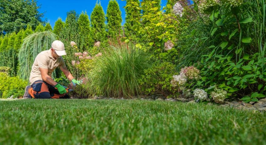 Pourquoi confier votre jardin à un paysagiste dans les Alpes-Maritimes ?